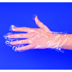 Large Poly Gloves 500ct