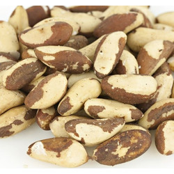 Medium Brazil Nuts 25lb
