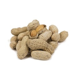 Roasted & Salted Jumbo Peanuts in the Shell 50lb