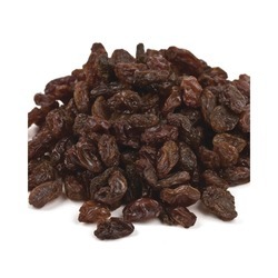 Select 13% Moisture Oil Treated Raisins 30lb