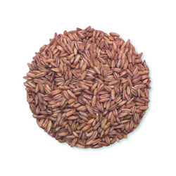 Whole Oat Groats 50lb