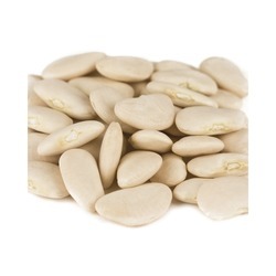 Large Lima Beans 50lb