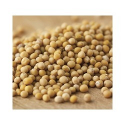 Van De Vries Mustard Seeds #1 25lb